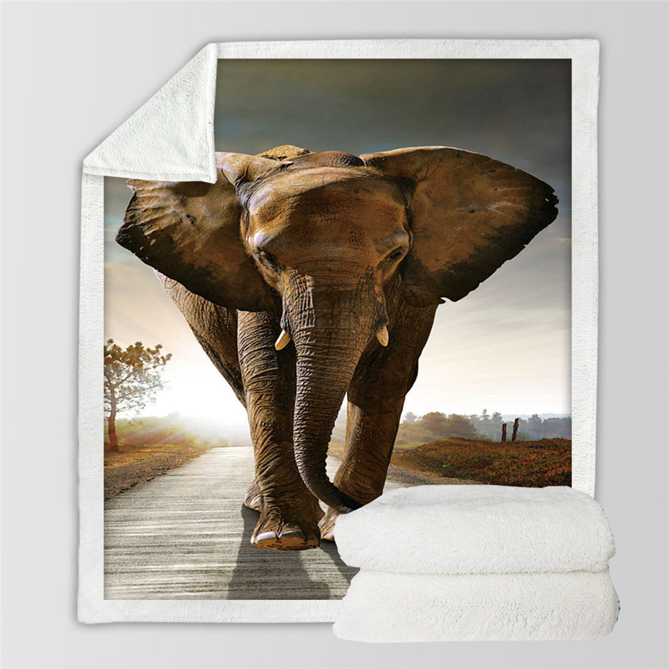 PillowVerve Printed Cotton Fleece Blanket
