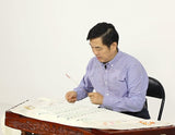 AiryNap Soundproof Blanket