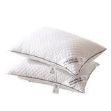 Radiant Rest Feather Velvet Pillow