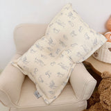 DreamSoft Ins Style Cute Pillow