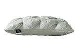 PlushZen Feather Pillows 