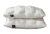 PlushZen Feather Pillows 