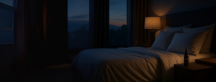 Bedroom with a bed and lamp in a dimly lit room with a mountain view.